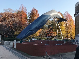 国立科学博物館