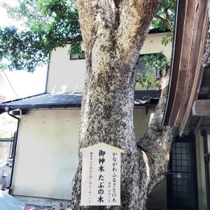 御霊神社