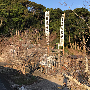 畦蛸神社