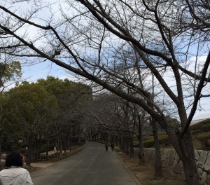 上尾丸山公園